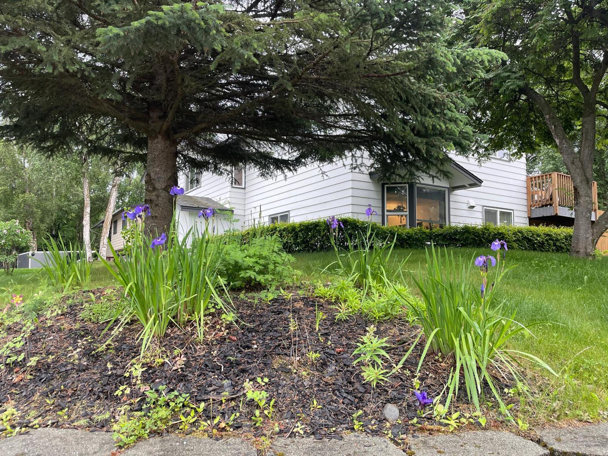 Sunstar Alaska Bed And Breakfast Llc Anchorage Exterior photo